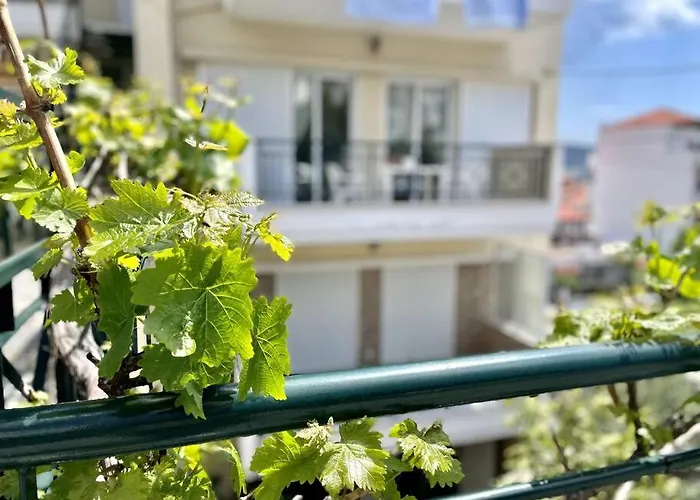 Apartment Maria's Sunshine Place